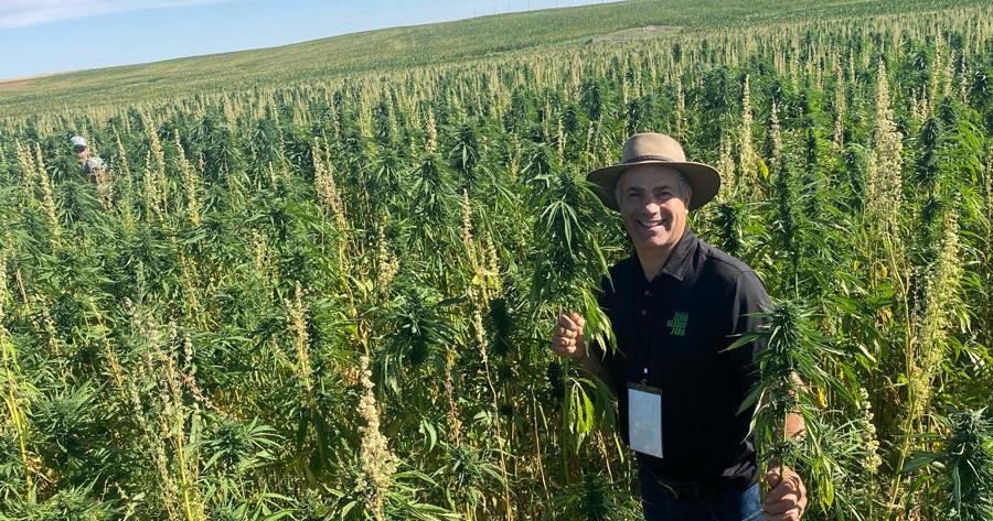 Experimental Hemp Micro Processing With Steve Groff | Hemp Industry ...