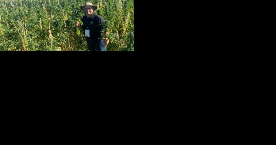 Experimental Hemp Micro Processing With Steve Groff - Vimarsana News