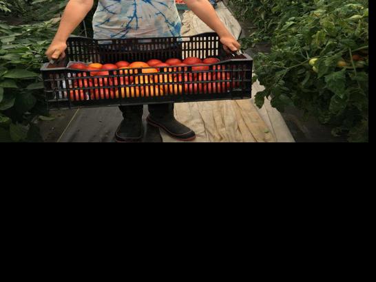 Pennsylvania Approves Its First Formal Farming Apprenticeship Education Lancasterfarming Com