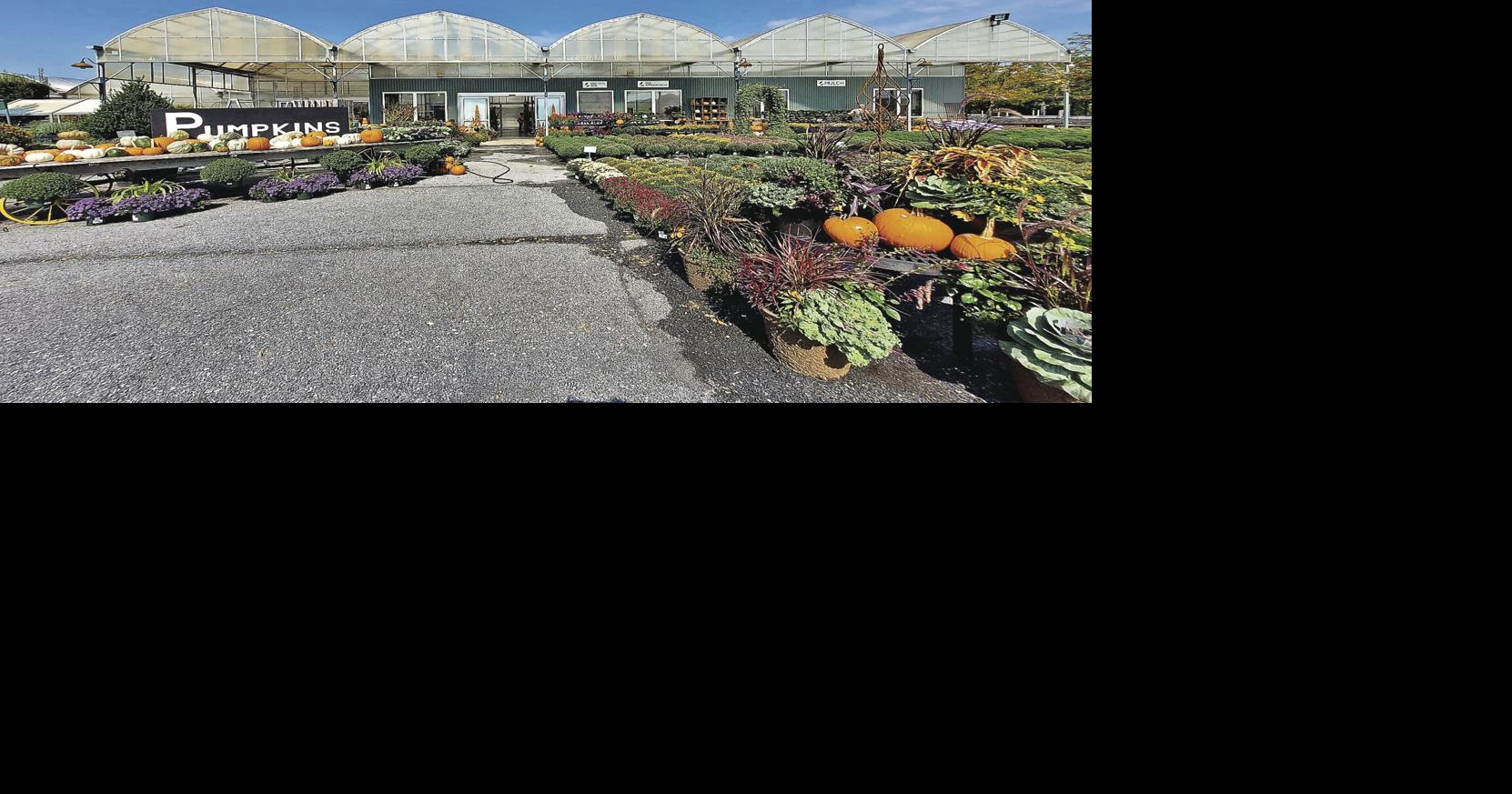 Frey's Greenhouse Locations Ready for all Seasons Gardening Tips and