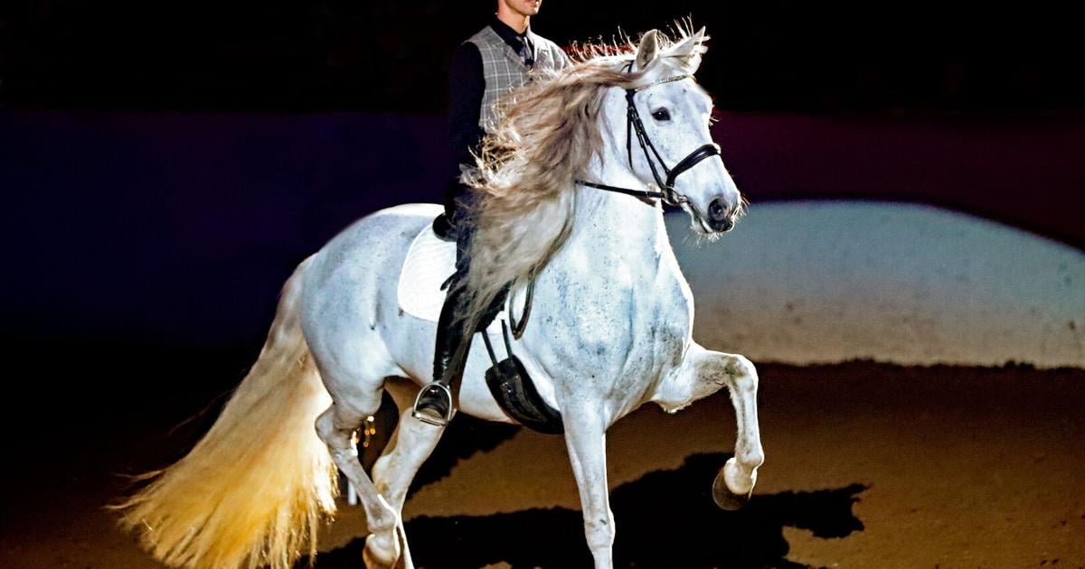 How Horse World Expo at Pennsylvania Farm Show Complex Was Created