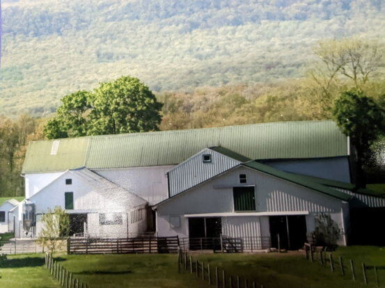 Sisters Saw Lumber the Old-Fashioned Way at 120-Year-Old Sawmill | Farm ...