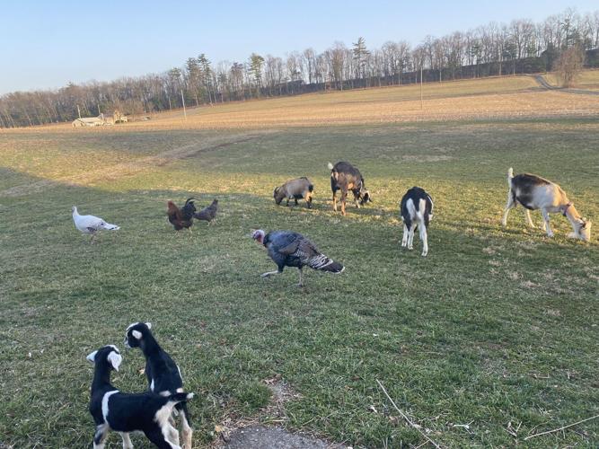 Perry County Farm With Ties to George Washington Receives Bicentennial ...