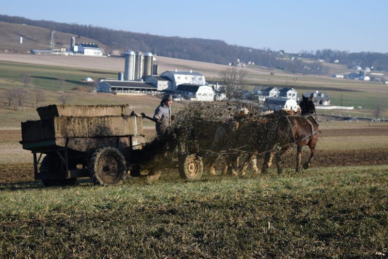 Image of Farmer spreading horse manure on a field