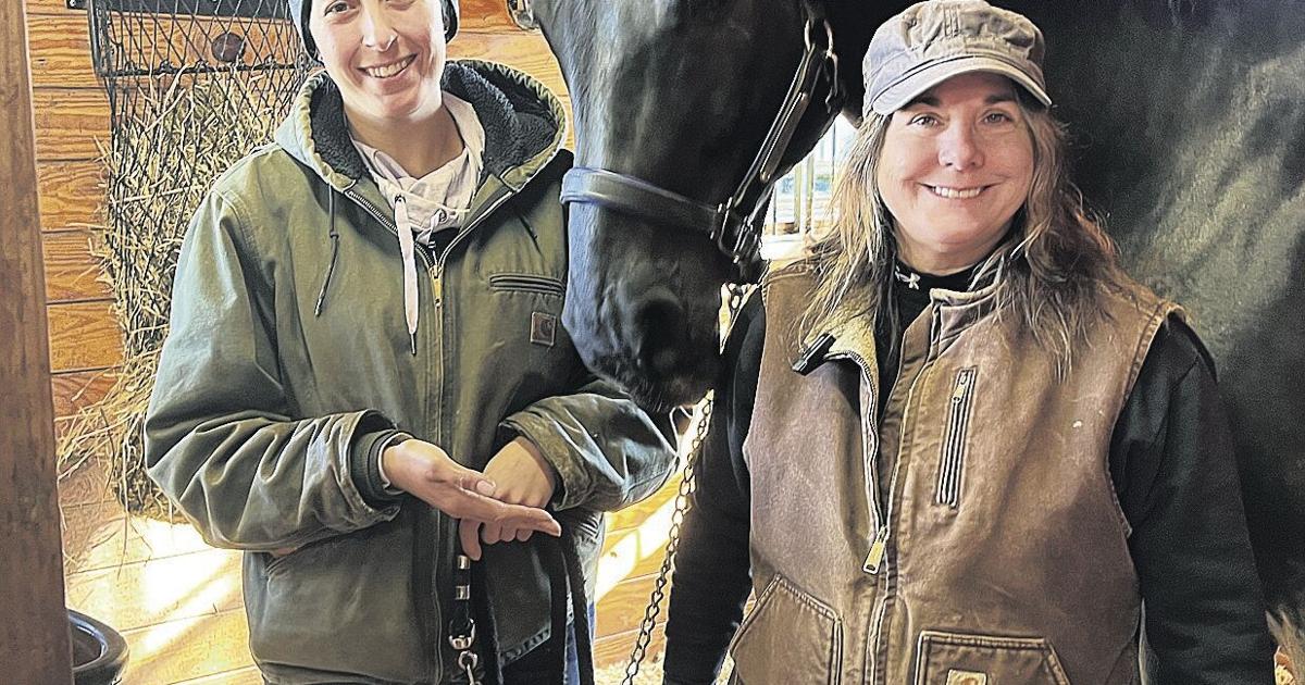 Maria Kimble Horse Massage Therapist Provides a Soothing Experience | Horse News and ...