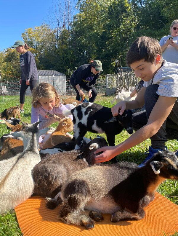 Goat Yoga at Steinmetz Family Farm | Outdoor Sports, Hunting and DIY ...