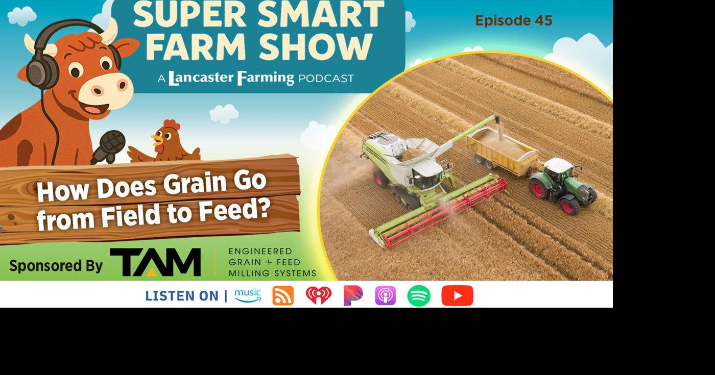 How Does Grain Go From Field to Feed? | Super Smart Farm Show ...