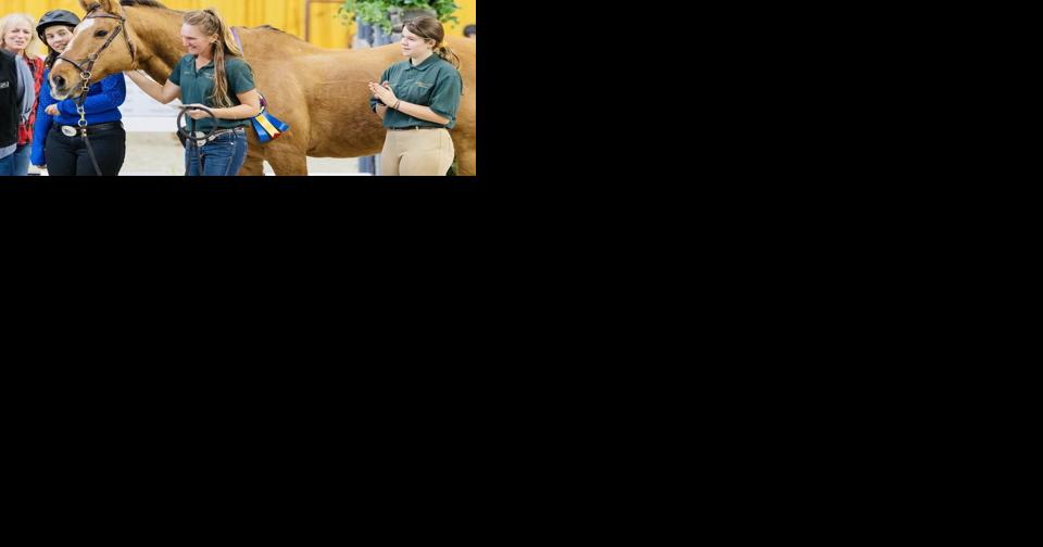 Pennsylvania Therapy Horse Of Year Hails From York County | Horse News and Equine Events - Vimarsana News
