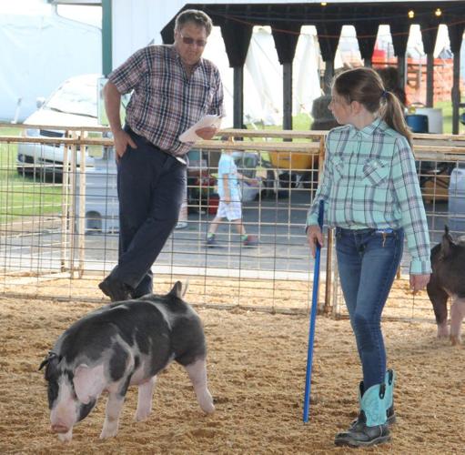 Schnecksville Fair Announces Winners News