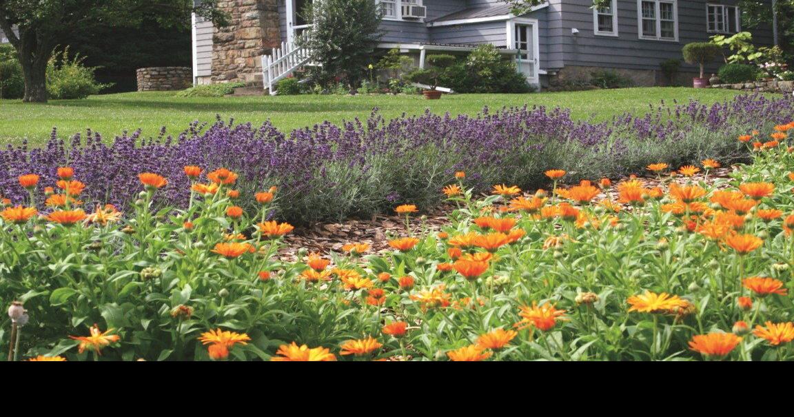 WellSweep Herb Farm Is a Herbal Paradise in the Garden State