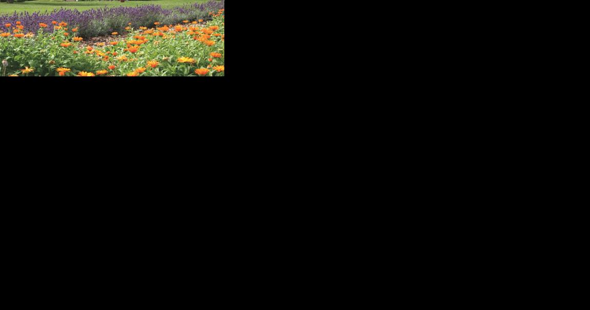 Well-Sweep Herb Farm Is a Herbal Paradise in the Garden State - Vimarsana News