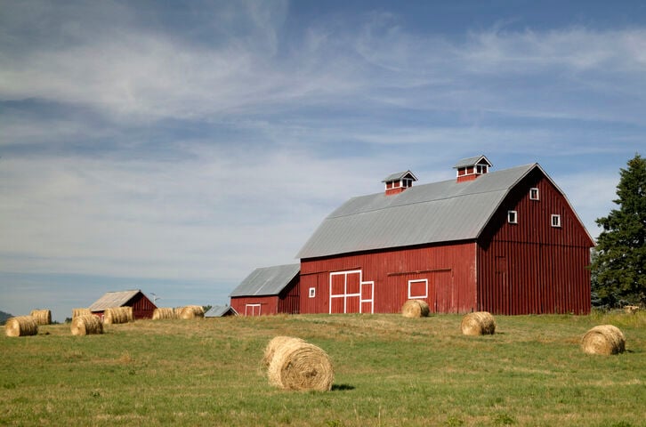 Store Farm