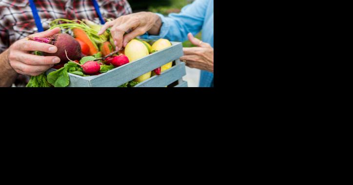 2023 Brought Success for Organic Farming [Opinion] - Vimarsana News