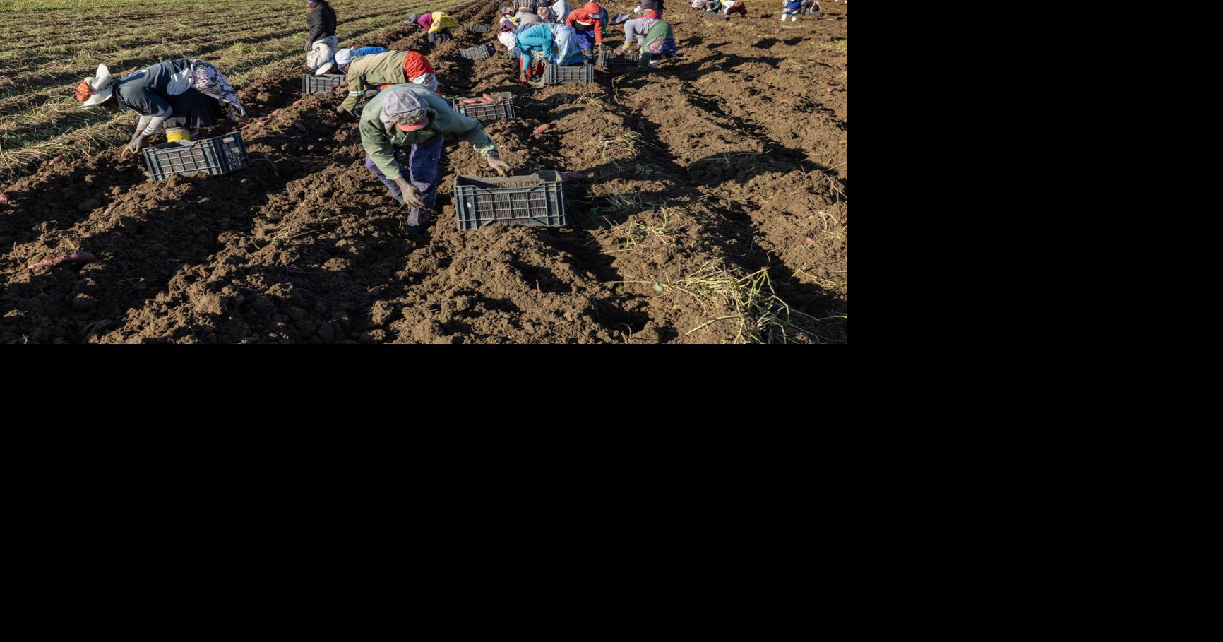 Farm Employers Should Brush Up on I-9 Work Forms