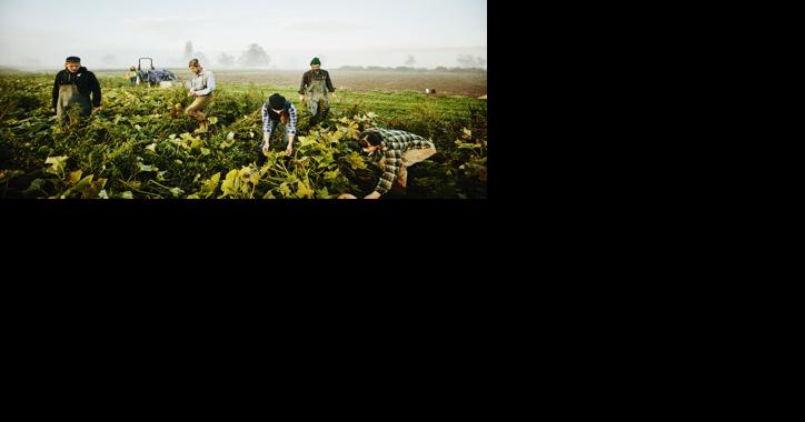 Future of Agriculture Depends on Build Back Better [Opinion] - Vimarsana News
