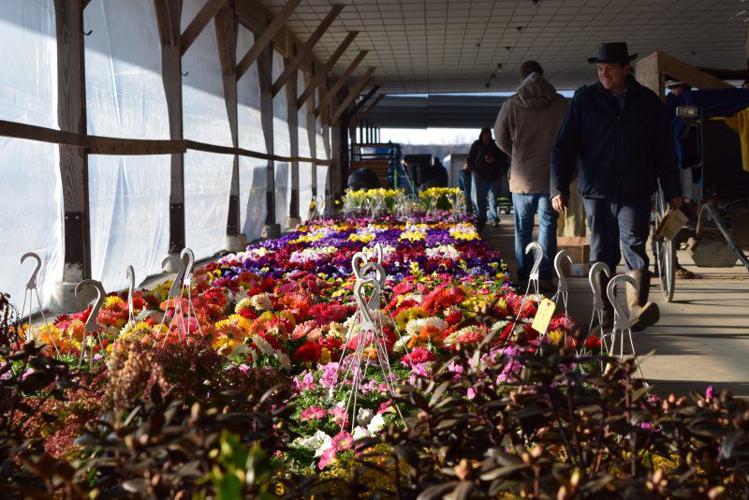 Weaverland Produce Auction Opening Day 2018