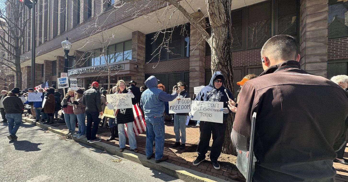 Amos Miller Remains Under Raw Milk Injunction as Judge Deliberates - Vimarsana News