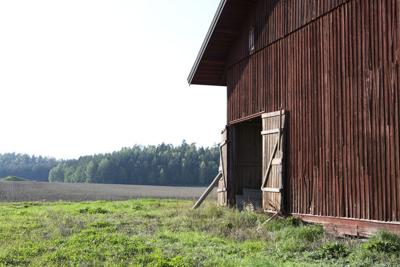 old Barn in field, close-up