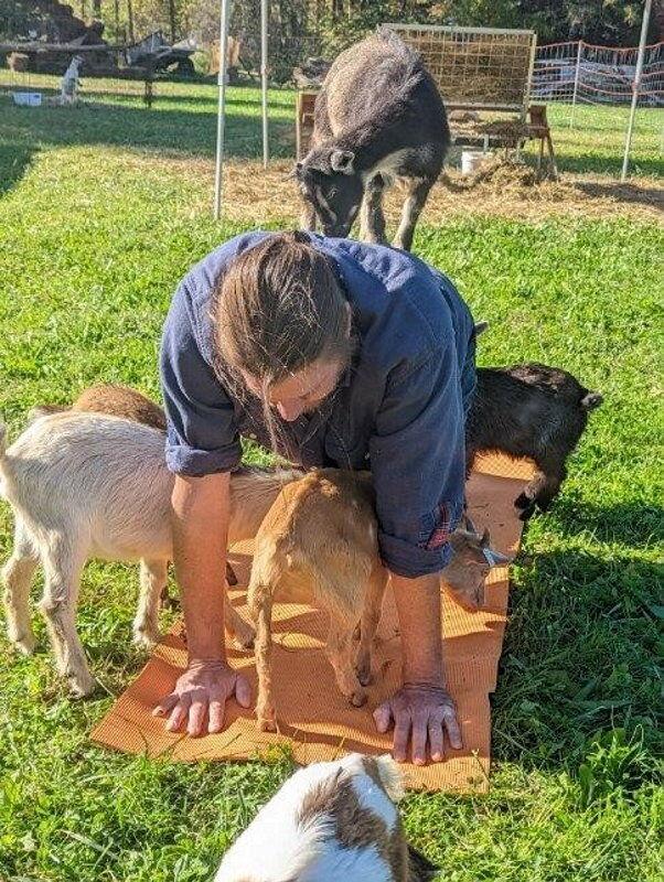 The Secret to Cow Cuddling and Goat Yoga's Success [Opinion] Farm and Rural Family Life