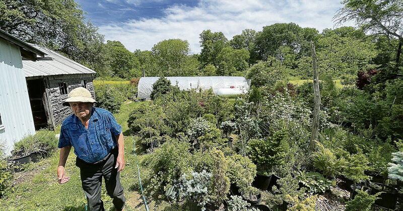 Native Tree Expert Shares His Wisdom of the Woods - Vimarsana News