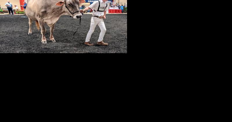 Maryland State Fair Puts Agriculture at Its Center - Vimarsana News