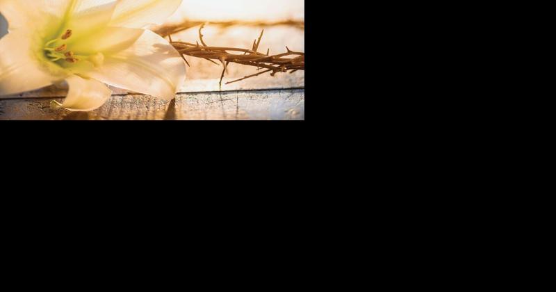 Father, Forgive Them: An Easter Homily - Vimarsana News