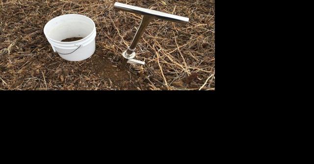 After Harvest Is a Good Time to Test for Soybean Cyst Nematode - Vimarsana News