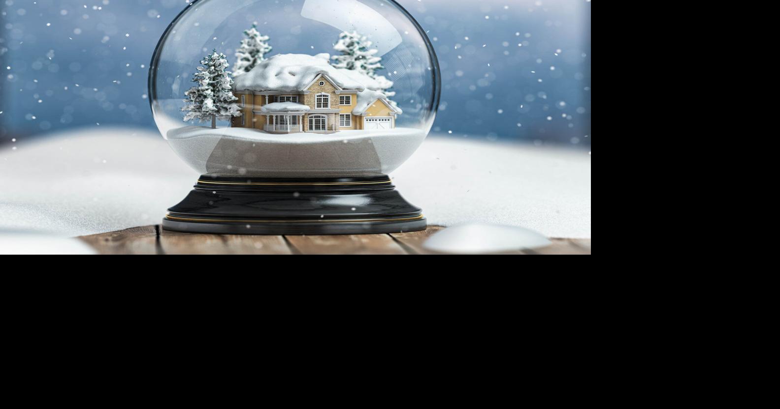 When Does Your Christmas Tree Come Down? A Glimpse Into Holiday