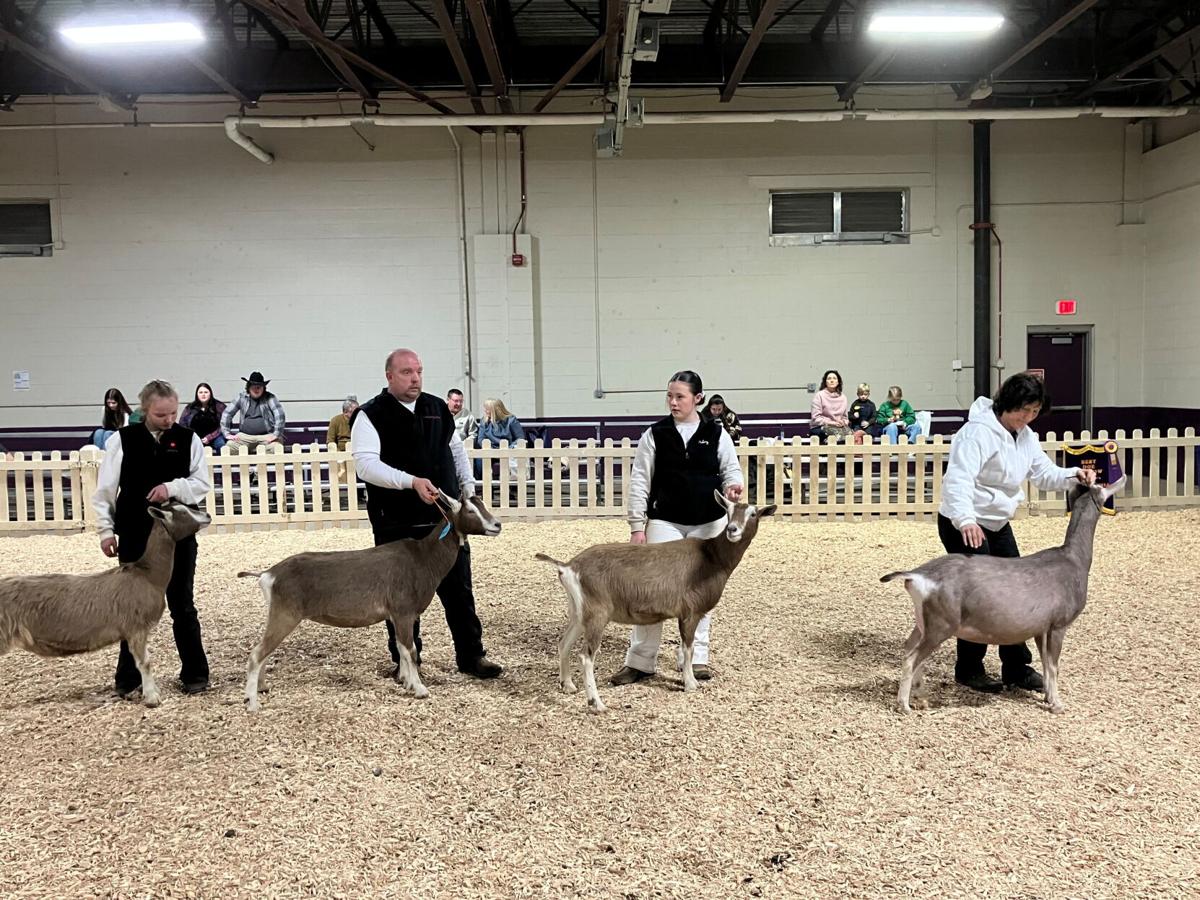 Goat Farmers Praise Animal’s Versatility at PA Farm Show | Farm Shows ...