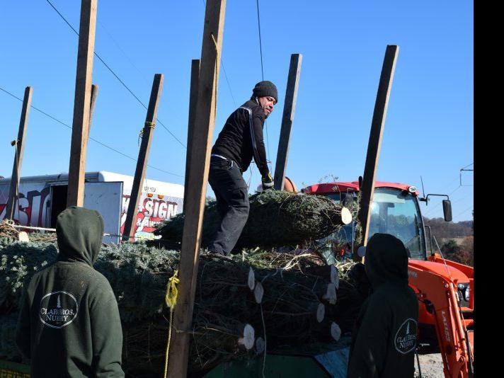 Christmas in Season at Chester County Tree Farm | Latest ...