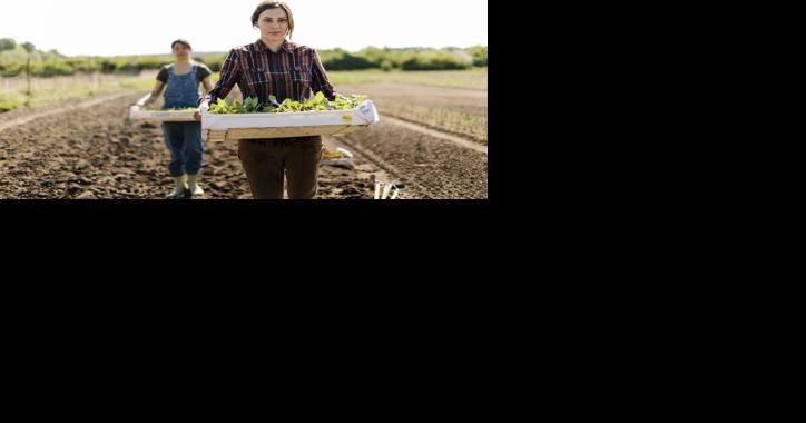 New Jersey Committee Backs Aid for Beginning Farmers - Vimarsana News