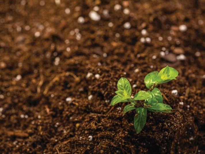 Soil Records Help Farmers Improve - Vimarsana News