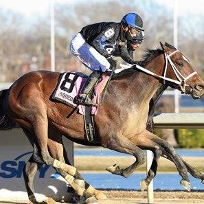 Uncle Heavy No Worse For The Wear After Preakness Run - Vimarsana News