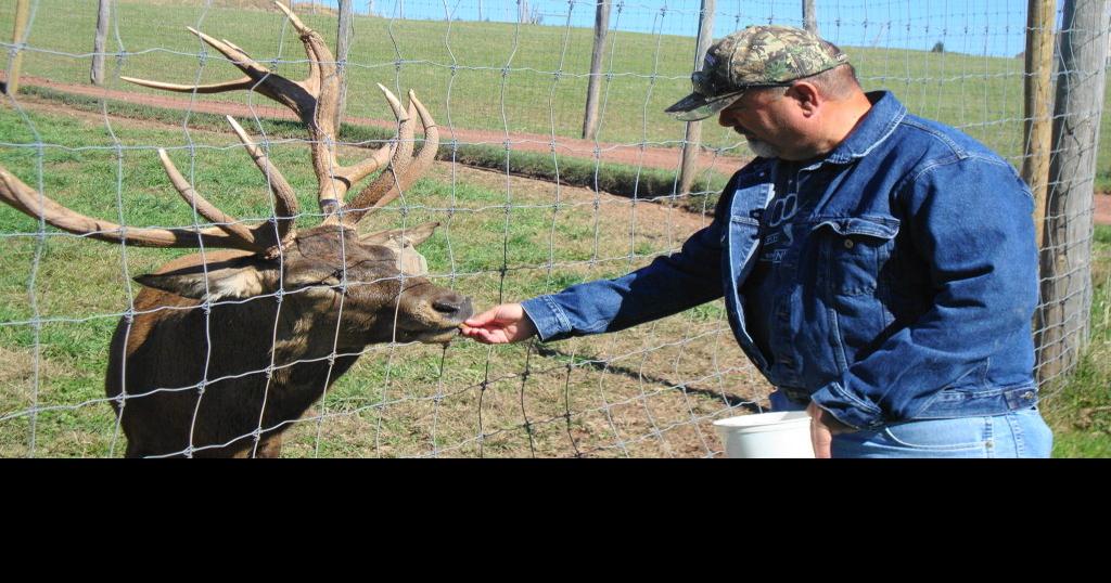 A Home Where the Red Deer Roam Farming and Agricultural News