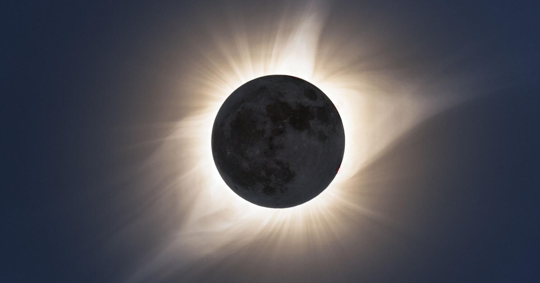 How Will Livestock React to the Total Solar Eclipse? - Vimarsana News