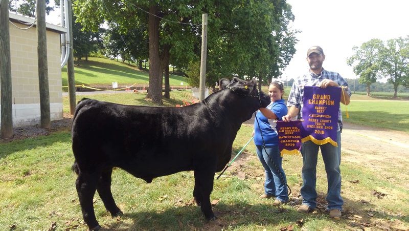 Perry County Teen Shows Grand Champ Farm Shows County Fairs