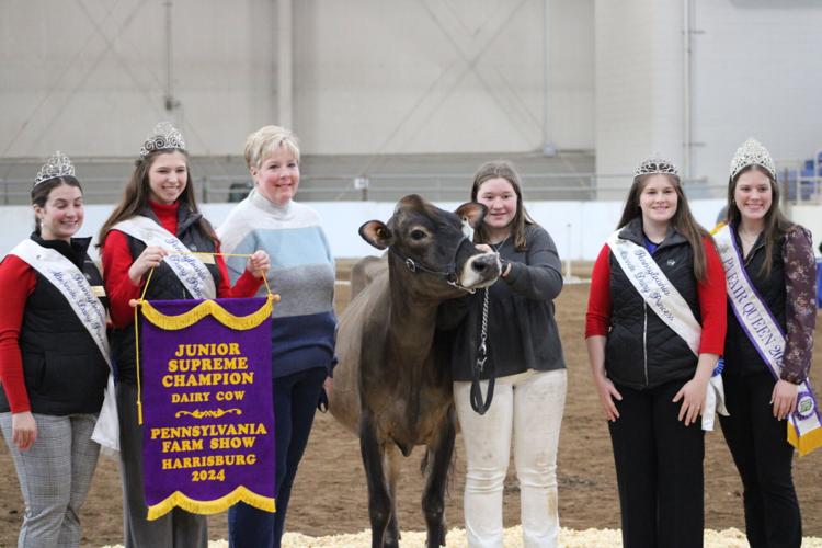 Dairy Cows Take Supreme Honors at 2024 PA Farm Show | Farm Shows ...