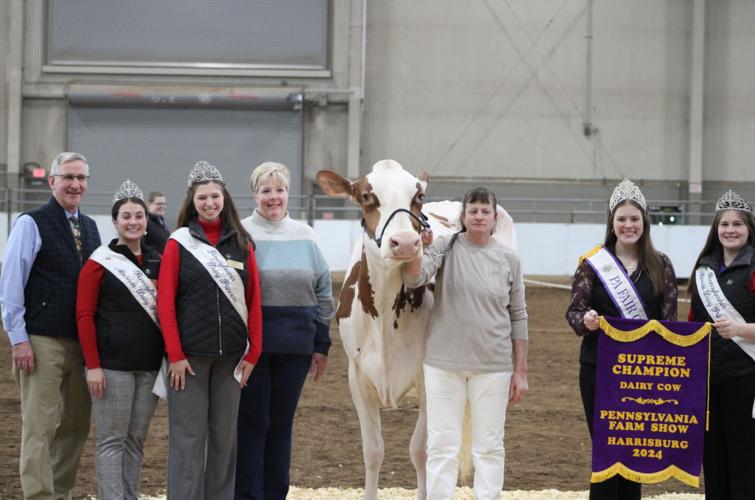 Dairy Cows Take Supreme Honors at 2024 PA Farm Show | Farm Shows ...