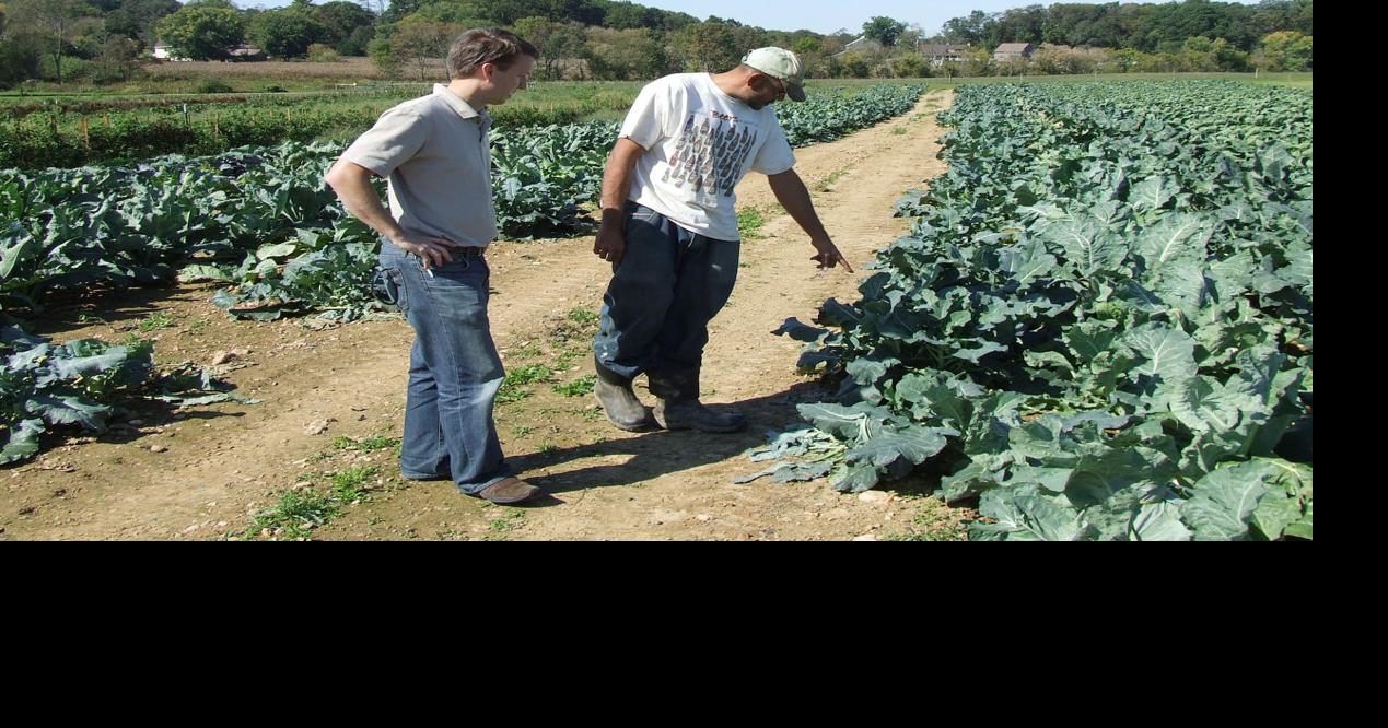 From Farm To Buyer Shortening The Food Supply Chain Farming And Agricultural News Lancasterfarming Com