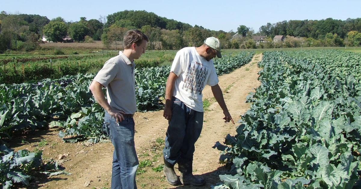 From Farm To Buyer Shortening The Food Supply Chain Farming And Agricultural News Lancasterfarming Com From Farm To Buyer Shortening The Food Supply Chain Farming And Agricultural News Lancasterfarming Com