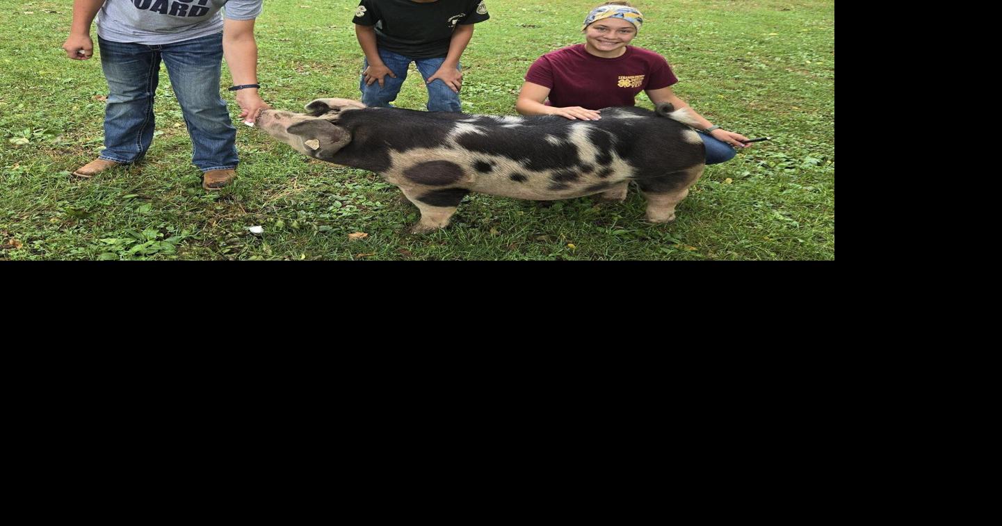 Moyer Family Enjoys All Aspects of Lebanon Area Fair