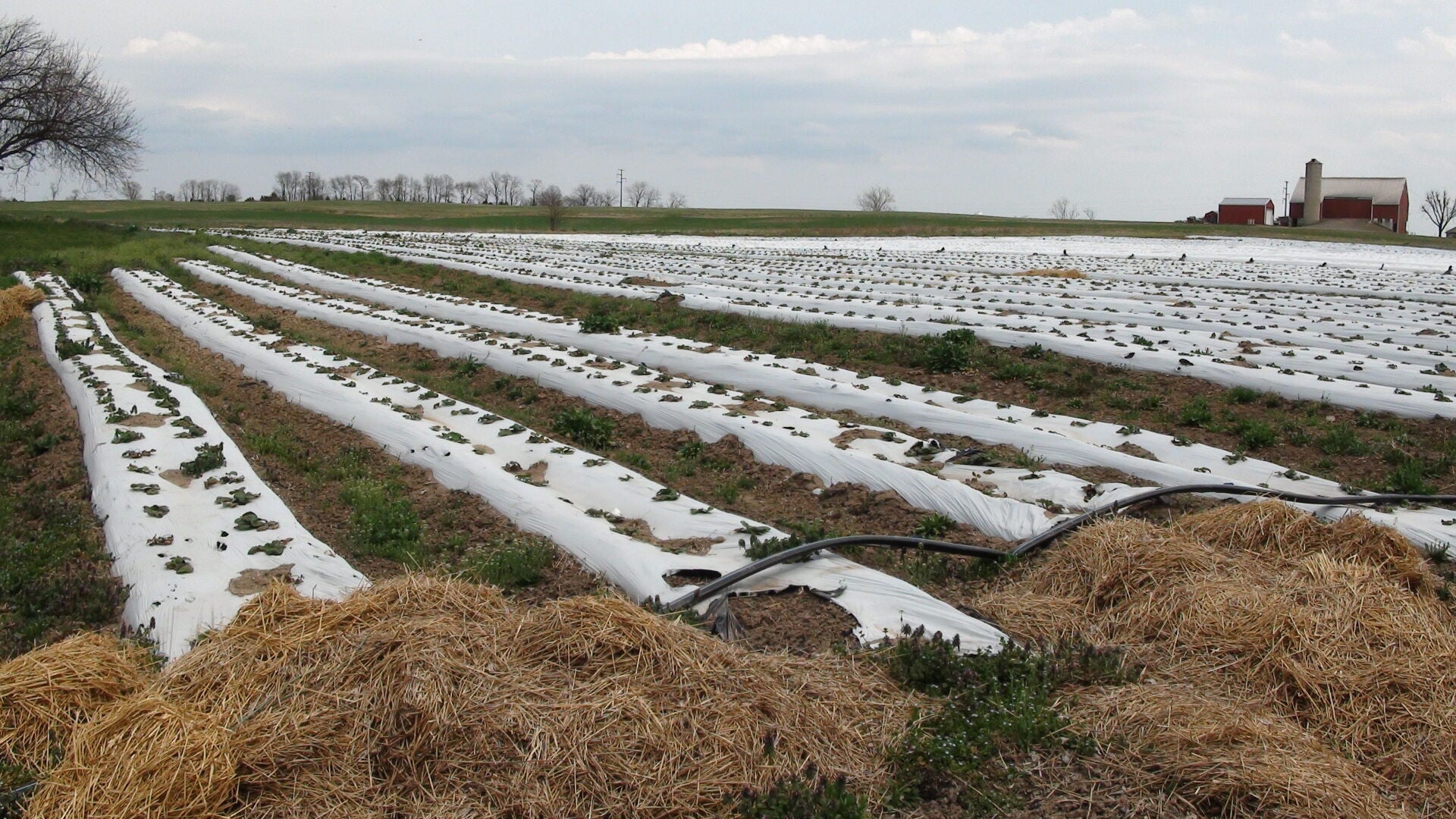 Hold Plastic Polluters Accountable [Opinion] | | lancasterfarming.com