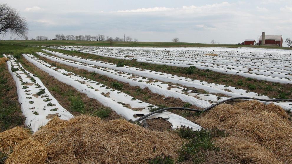 Research Grants Available for Ag Plastic Solutions in Pennsylvania