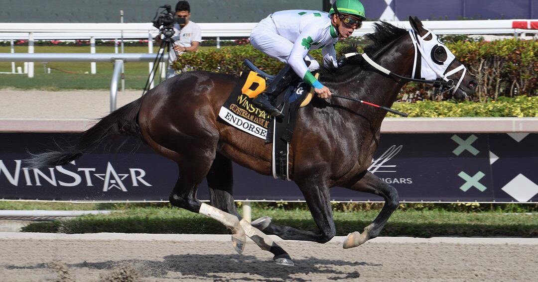 Endorsed, Half-Brother to Horse of the Year Cody's Wish, Joins Northview Stallion Station | Horse News and Equine Events - Vimarsana News