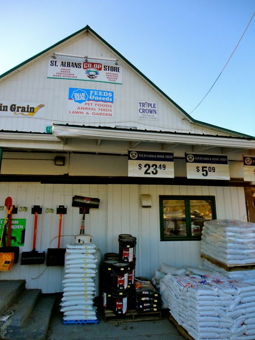 St. Albans Coop Store Takes Shape Northern Region