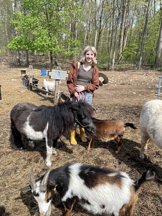 Therapy Horses, Dogs, Pigs and More Help Spirited Breeze Care Farm