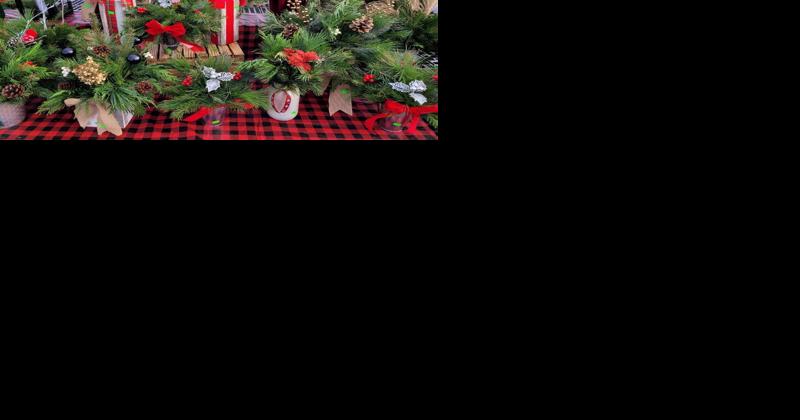 Pine View Greenhouse Welcomes Holidays the Natural Way - Vimarsana News