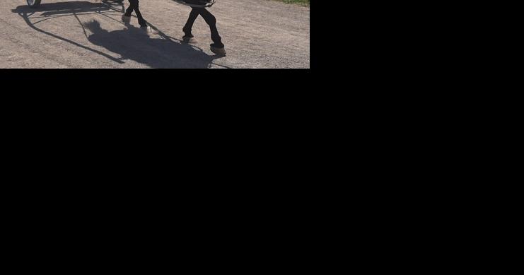 Harness Horse Youth Foundation's Summer Camps Begin - Vimarsana News