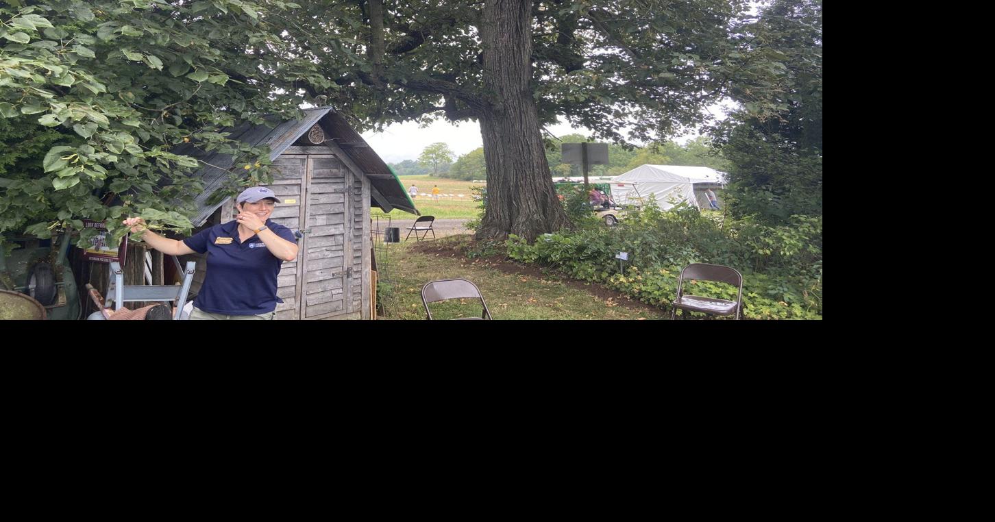 5 Native Trees to Add to Your Landscape and Why | Farm Shows, County ...