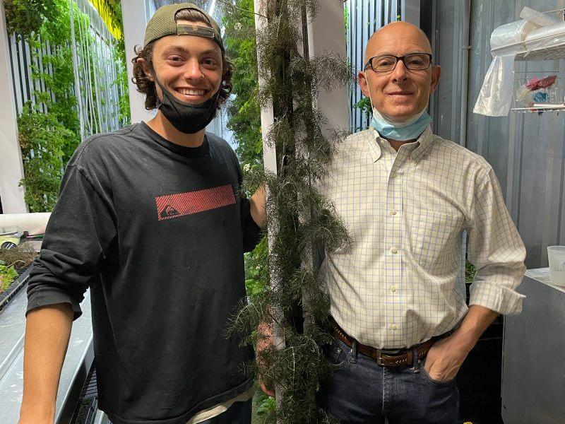 Hydroponic Operation Supplies High-End Restaurants - Vimarsana News
